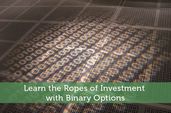 Learn the Ropes of Investment with Binary Options