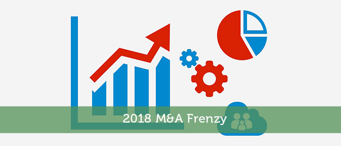 2018 M&A Frenzy