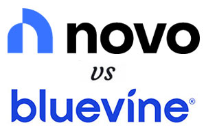 Novo Bank vs Bluevine 2024